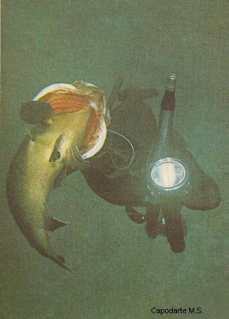 Massimo Scarpati