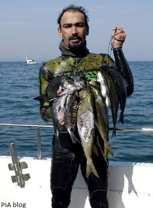 Rui Torres