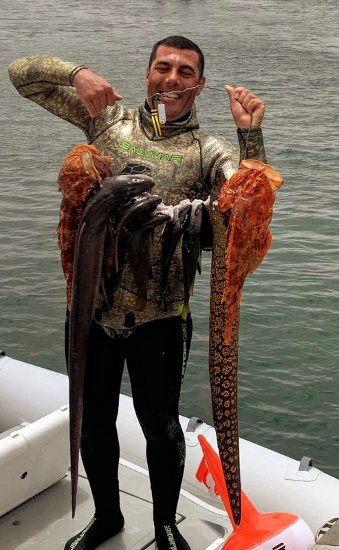 Fabio Dessi'